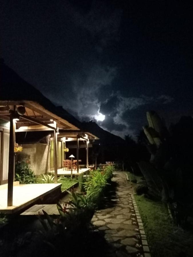 Taman Bintang Villa Ubud Buitenkant foto