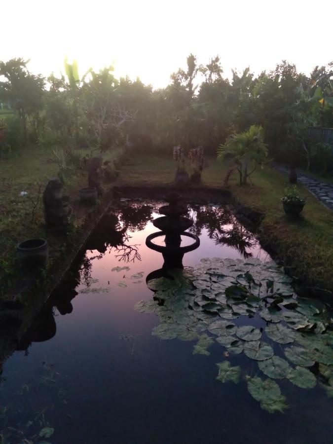 Taman Bintang Villa Ubud Buitenkant foto