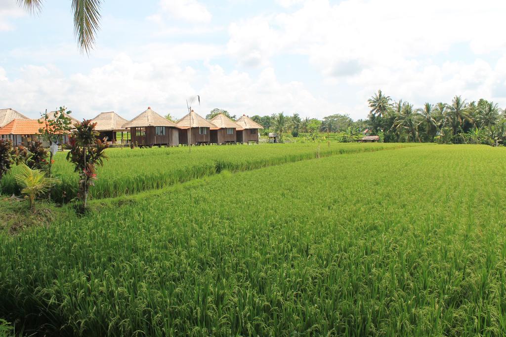 Taman Bintang Villa Ubud Buitenkant foto